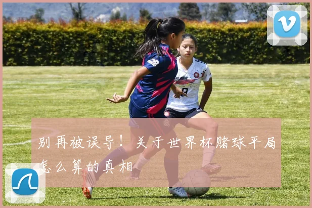 别再被误导！关于世界杯赌球平局怎么算的真相